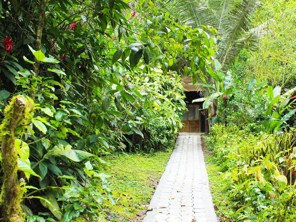 El Septimo Paraiso Mindo Ngoại thất bức ảnh