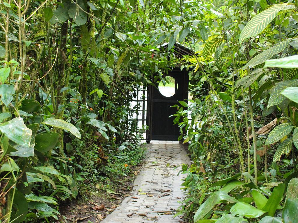 El Septimo Paraiso Mindo Ngoại thất bức ảnh