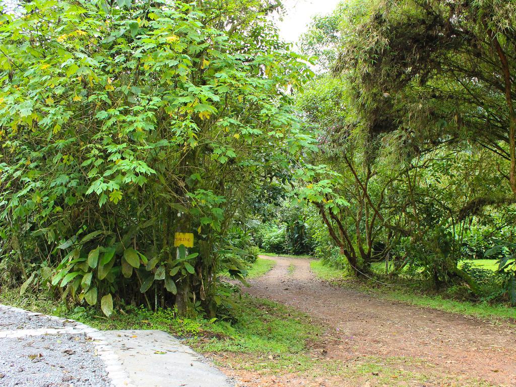 El Septimo Paraiso Mindo Ngoại thất bức ảnh