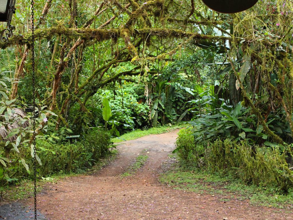 El Septimo Paraiso Mindo Ngoại thất bức ảnh